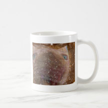 plan rapproché de chat tasse