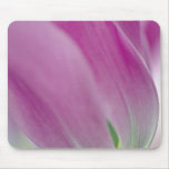 Plan rapproché du dessous de la fleur de tulipe, 2 tapis de souris