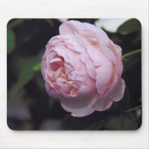 Plan rapproché rose tapis de souris