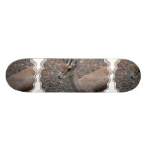 Planche à roulettes à cornes mince de gazelle