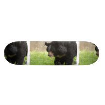 Planche à roulettes asiatique d'ours noir
