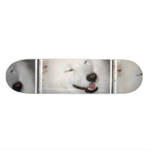 Planche à roulettes blanche de chien esquimau