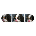 Planche à roulettes cavalière mignonne d'épagneul 