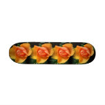 Planche à roulettes "d'abricot orange"