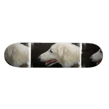 Planche à roulettes de barzoï