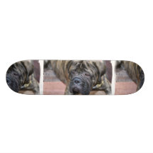 Planche à roulettes de Bullmastiff