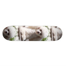 Planche à roulettes de caniche de jouet