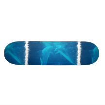 Planche à roulettes de causerie de paires de dauph