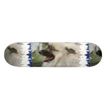 Planche à roulettes de chien de Keeshond