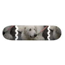 Planche à roulettes de chien de Kuvasz
