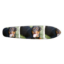 Planche à roulettes de chien de rottweiler