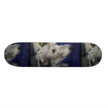Planche à roulettes de chien-loup irlandais