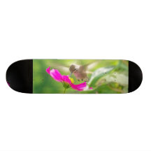 Planche à roulettes de colibri