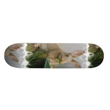 Planche à roulettes de lapin de lapin