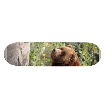 Planche à roulettes de l'ours gris 001