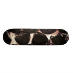 Planche à roulettes de patinage de ~ de pierres