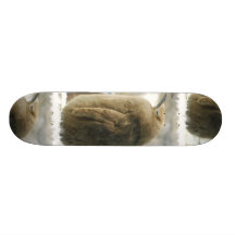 Planche à roulettes de pingouin de bébé