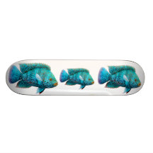 Planche à roulettes de poissons de Cichlid du Texa