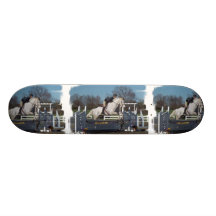 Planche à roulettes de pullover de chasseur