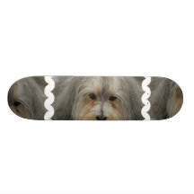 Planche à roulettes de race de chien de Havanese