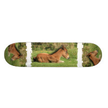 Planche à roulettes de repos de conception de colt