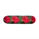 Planche à roulettes "de rouge de ketmie"