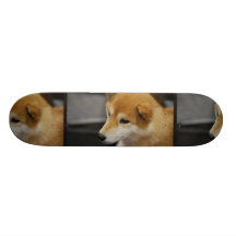 Planche à roulettes de Shiba Inu