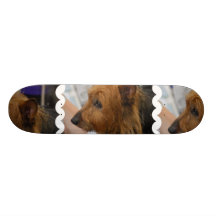 Planche à roulettes de Terrier australien