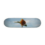 Planche à roulettes "de tournesol montant"