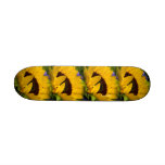 Planche à roulettes "de tournesol réservé"