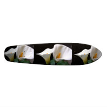 Planche à roulettes de zantedeschia