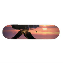 Planche à roulettes du griffon 01