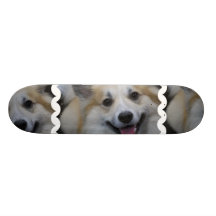 Planche à roulettes islandaise de sourire de chien