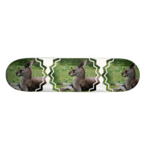 Planche à roulettes mignonne de kangourou