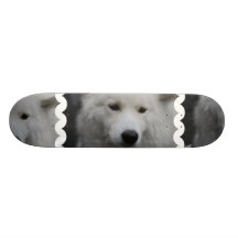 Planche à roulettes mignonne de Samoyed