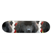 Planche à roulettes mignonne de Terre-Neuve