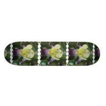 Planche à roulettes rare d'orchidée