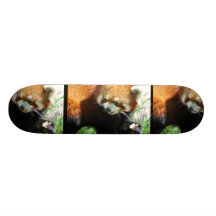 Planche à roulettes rouge mignonne d'ours panda