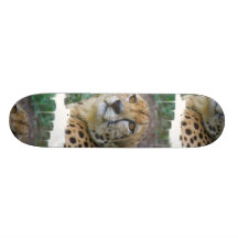 Planche à roulettes sauvage de guépard