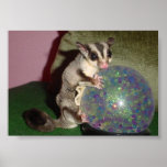 Planeur de sucre sur le globe poster