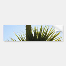Plante de plage adhésifs pour voiture