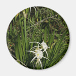 Plante et fleurs de lis d'araignée aimant pour réfrigérateur