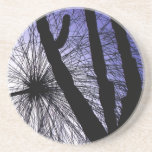 Plantes abstraits dessous de verre