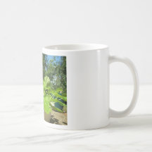 Plantes de courgette de bébé dans le jardin de per tasses à café