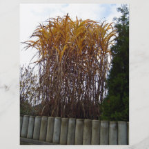 Plantes jaunes de crotton contre le ciel tract customisé