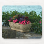 Planteur en pierre" Mousepad "de mer Tapis De Souris