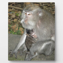 Plaque de singe et de bébé impression sur plaque