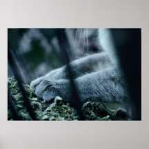 Plaqué en velours affiches