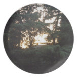 plat de forêt assiette