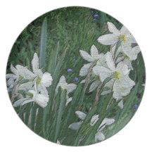 Plat "de jonquilles blanches" assiette pour soirée